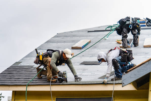 Professional Flat Roof Repair technician working in South Haven, MI